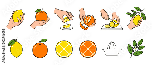 Fresh Lemon and Orange Icons Set, Hand Holding Citrus Fruit Slices, Peeling and Cutting Vector Illustration for Healthy Food Cooking, Juice Preparation, Culinary Design and Organic Ingredient Concept
