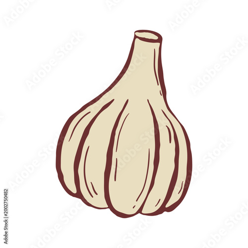Isolated design element of colorful garlic in hand drawn sketch style. Universal template for print, logo, menu, recipe and other. Flat vector illustration.
