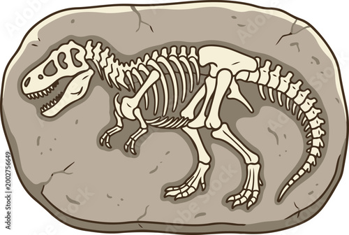 Illustration of a dinosaur skeleton fossil embedded in rock, depicting prehistoric remains for paleontology and educational study.