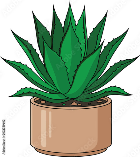 Green succulent plant with spiky leaves in a terracotta pot, cartoon style
