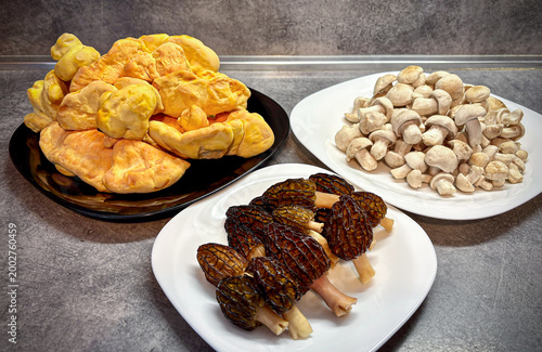 Amazing fresh raw edible and tasty spring mushrooms on plates in kitchen