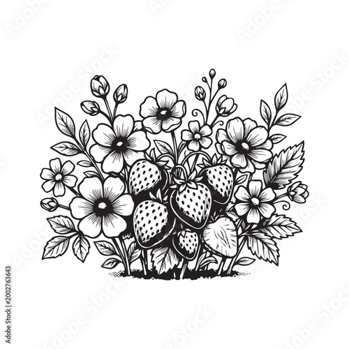 Detailed black and white illustration of strawberries with flowers and leaves symbolizing botanical harmony nature and decorative design