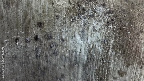 Person spraying powerful cleaning detergent foam onto a moldy concrete wall for effective removal, showing a detailed close up of the toxic fungus problem in a damp home