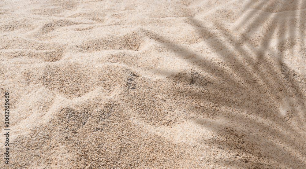 Fototapeta premium Natural sand texture background with soft sunlight and palm leaf shadow, minimal summer beach concept, warm tone surface for design, copy space, tropical vacation, relaxation and nature backdrop