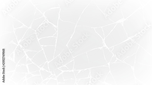 Tableau sur toile Cracked surface with detailed patterns on a transparent background showing contr