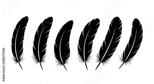 Canvas Print A collection of six detailed black feathers arranged in a row against a white background