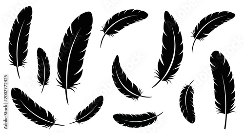 Foto A collection of black feathers of various sizes and orientations against a white background