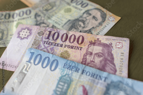Hungarian banknotes in denominations of 1000 and 10000 forints. Distinctive designs feature historical figures and national symbols. Colors range from pale blue to soft purple and off-white