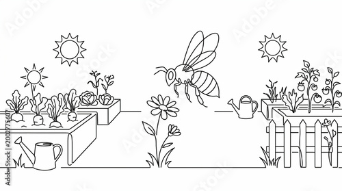 Garden with vegetable beds and bee line art illustration