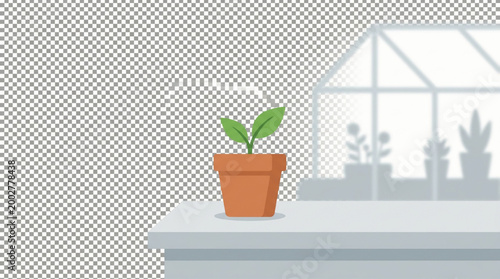 Small plant in a terracotta pot on a table
