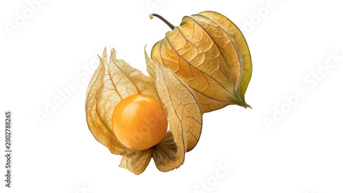 Quadro su tela physalis cape gooseberry isolated on transparent background cut out