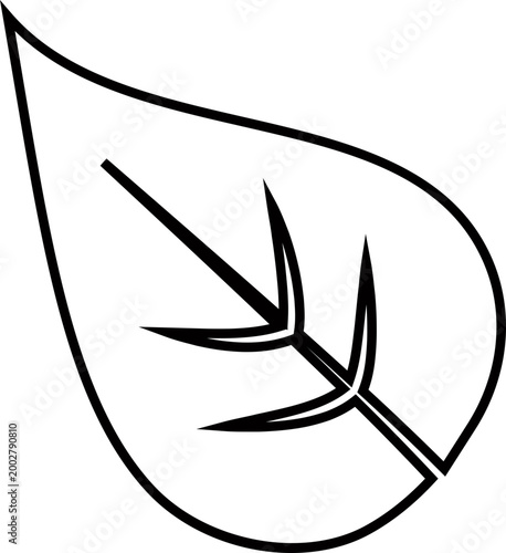 Leaf silhouettes icon foliage leaves nature botanical plant shapes vector pack, flat and line style black icons, eco greenery elements bundle isolated design