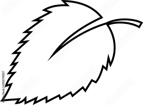 Leaf silhouettes icon foliage leaves nature botanical plant shapes vector pack, flat and line style black icons, eco greenery elements bundle isolated design