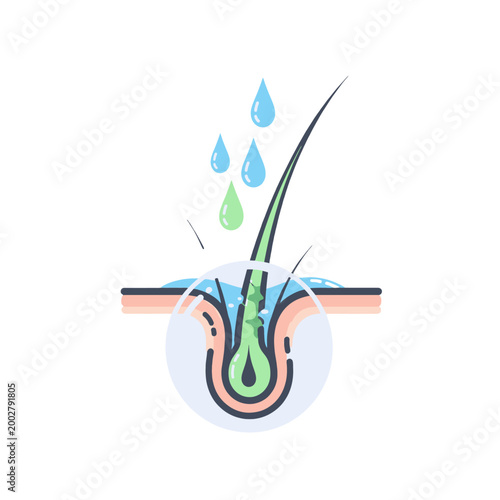 A diagram showing a single hair follicle being treated with nourishing liquid drops