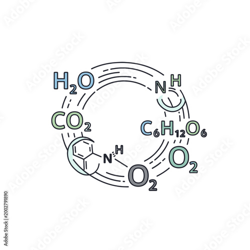 A circular arrangement of various chemical formulas on a clean white background