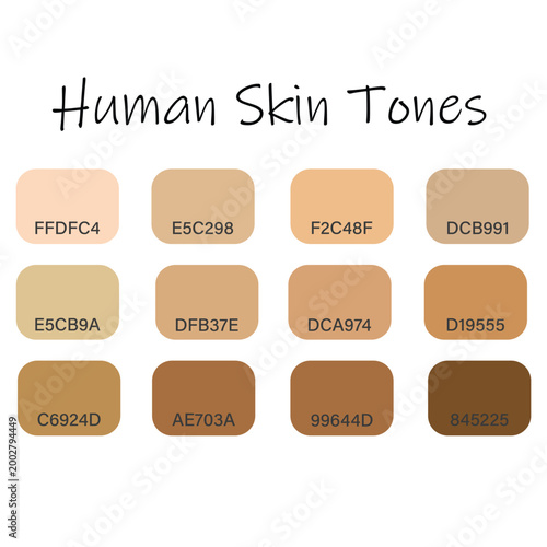 Skin tones palette by color codes, different types human skin, human skin tones icon vector illustration isolated on white background.