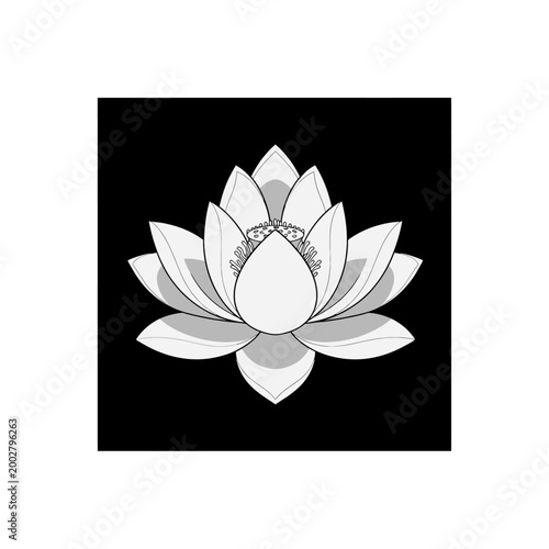 A simple graphic illustration of a blooming water lily flower on a black background