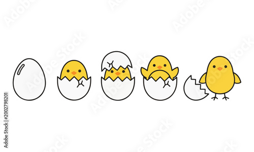 Chick hatching from egg sequence vector illustration on white