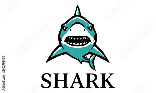 Angry Shark Mascot Head Vector Illustration on White Background