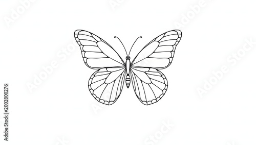 butterfly line art background minimal modern design
