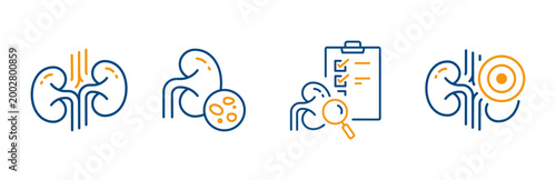 kidneys icons, urinary system, stones, pain in the kidneys, diagnostics or examination kidney, set editable outline icon vector