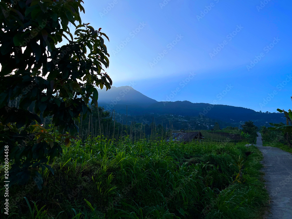 Fototapeta premium Scenic Mountain Landscape at Dawn with Lush Green Fields and Rural Path
