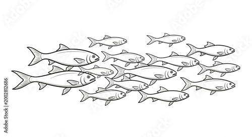 Graceful black and white line art illustration capturing a large school of fish swimming together in synchronized harmony, representing marine life and ocean ecosystems