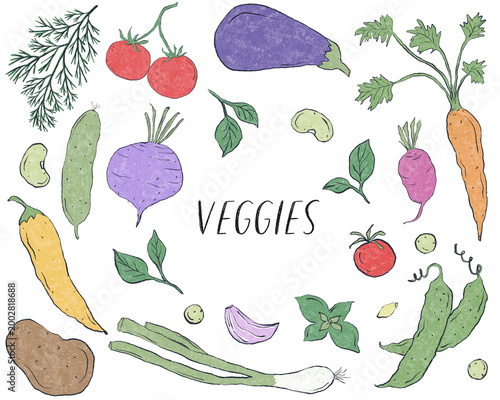 Illustration with farm fresh vegetables and greens. Veggies green colorful icons, isolated background. Organic, natural products. For menu design, poster, decoration.