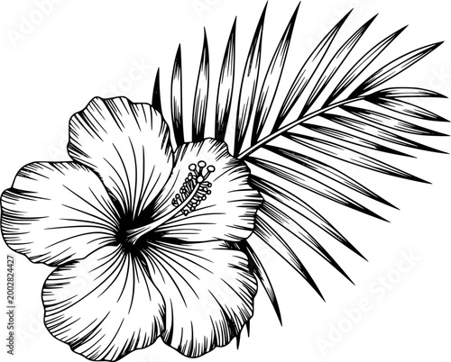 Black and white line of a hibiscus flower with palm leaf white background tropical