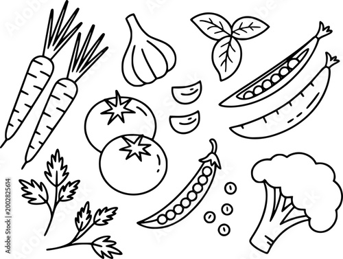 Hand-drawn black and white line collection of fresh vegetables and herbs food healthy
