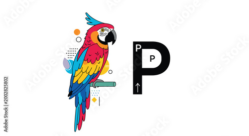 Brightly colored parrot illustration perched on a branch next to a large black letter P for an educational alphabet learning theme.
