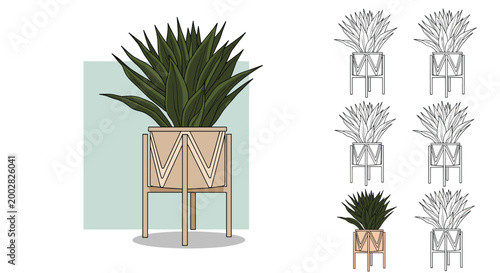 Large indoor plant with pointed leaves in a geometric pot shown in color and various line art styles for interior decor design.