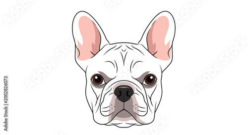 Frontal portrait of a cute white French Bulldog face with pink ears and large dark eyes in a clean vector illustration style.