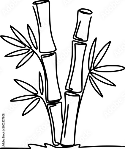 Minimalist black line of bamboo stalks with leaves white background, plant leaf nature