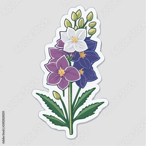 Illustration of a Delphinium flower with purple, blue, and white petals