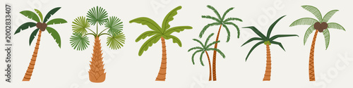 Palm tree collection with various tropical plants and coconuts. Hand drawn doodle summer elements set for travel and vacation design. Vector illustration