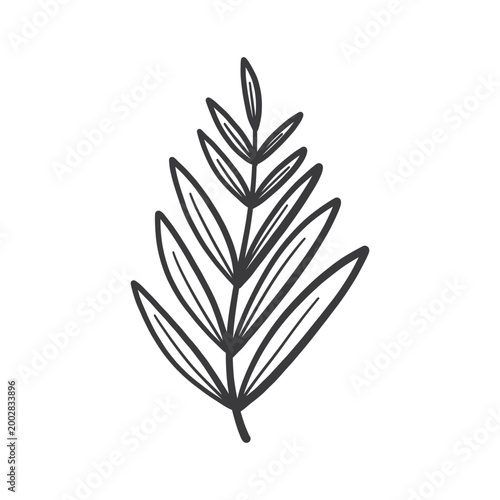 Hand drawn foliage branch vector, twig and leaves, flora