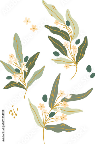 Elegant Olive Branch Vector Elements Set. Hand Drawn Botanical Collection with Green Olives and Leaves. Isolated Mediterranean Design Objects for Logo and Branding.