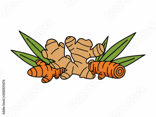 Ginger and Turmeric Rhizome with Green Leaf Vector Illustration
