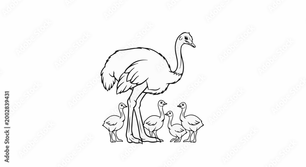 Fototapeta premium Parent ostrich and its young chicks standing together in a line