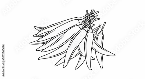 Outline drawing of a cluster of pointed, slender peppers with stems