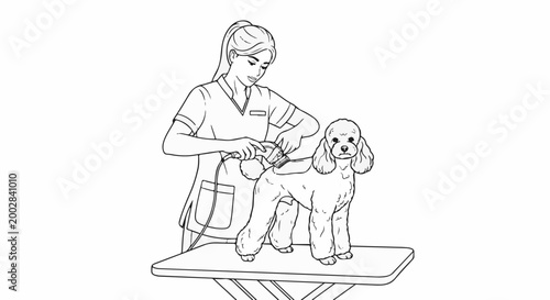 Person grooming poodle on table with clippers