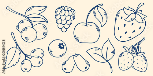 Set berries in Mediterranean style. Hand-drawn blue ink illustrations of strawberries, raspberries, blueberries, honeysuckle, lingonberries and wild strawberries. Vector elements of organic food