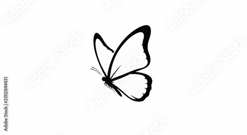 Minimalist black and white silhouette of a butterfly in flight