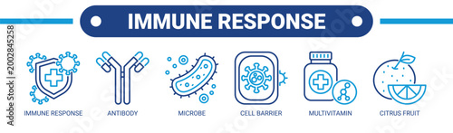 Immune Response web banner icon vector illustration concept with icons of immune response, antibody, microbe, cell barrier, multivitamin, and citrus fruit.
