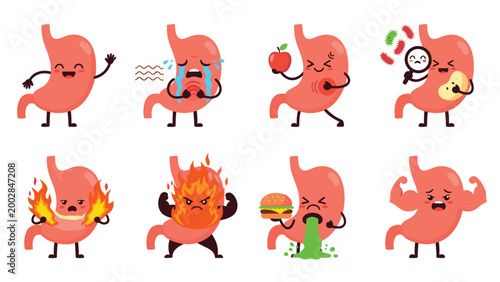 Extensive set of eight stomach organ characters displaying various health conditions and emotions for medical education theme.