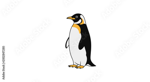 Vászonkép King penguin illustration