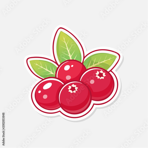 Illustration of Cranberries with Leaves