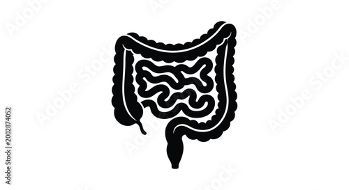 Human intestine anatomy illustration black silhouette high quality