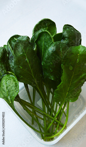 Fresh green spinach leaves with water droplets, placed in a clear container